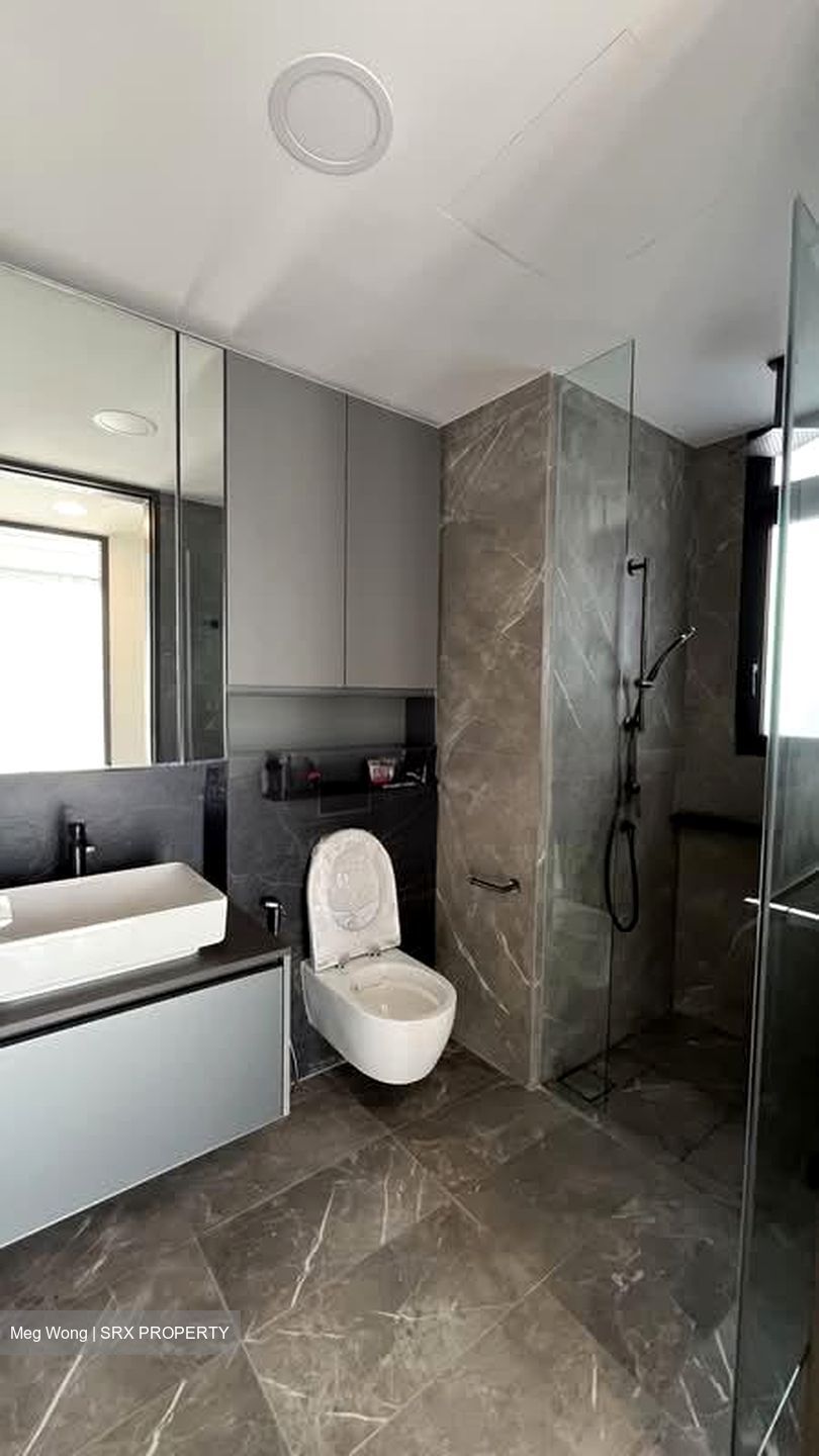 Irwell Hill Residences (D9), Apartment #580302001
